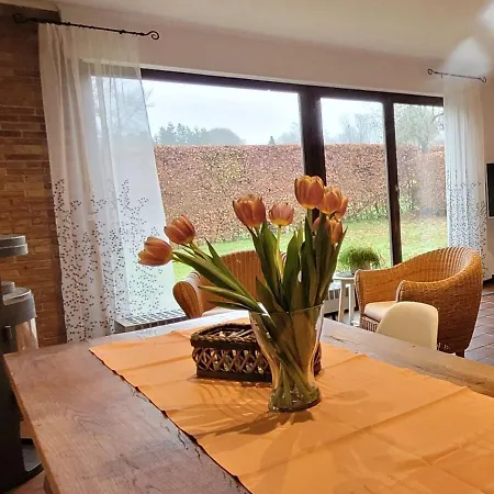 Ferienhaus Alzerhöhe Ferienhaus